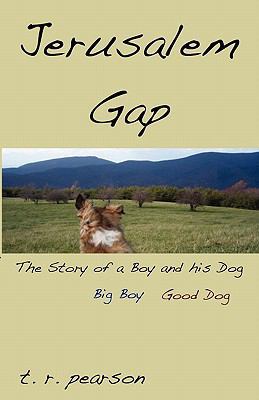 Jerusalem Gap 0615398650 Book Cover