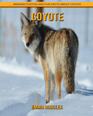 Paperback Coyote: Amazing Photos and Fun Facts about Coyote [Large Print] Book