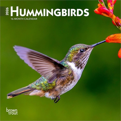 Hummingbirds 2026 7 X 14 Inch (Hanging) Monthly... B0DYL9W1Y3 Book Cover