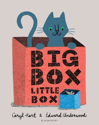 Big Box Little Box 1408872781 Book Cover