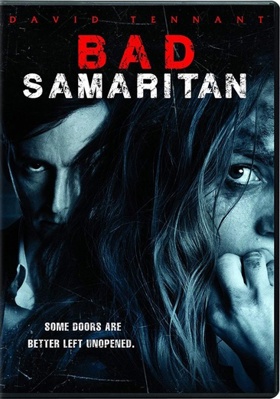 Bad Samaritan            Book Cover