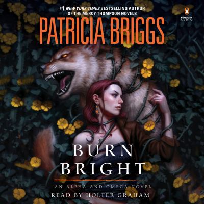 Burn Bright 1524756725 Book Cover