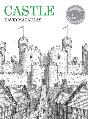 Castle B001R6J3SQ Book Cover