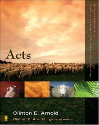 Acts: Volume 2b 0310278252 Book Cover