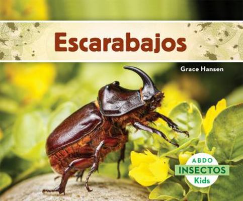 Escarabajos (Beetles) [Spanish] 162970332X Book Cover