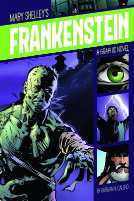 Frankenstein: A Graphic Novel 1496500091 Book Cover
