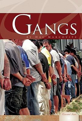 Gangs 1604539542 Book Cover