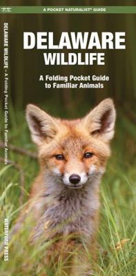Delaware Wildlife: A Folding Pocket Guide to Fa... 1583556257 Book Cover