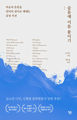 The Dictionary of Obscure Sorrows [Korean] B0DHN4XCVJ Book Cover