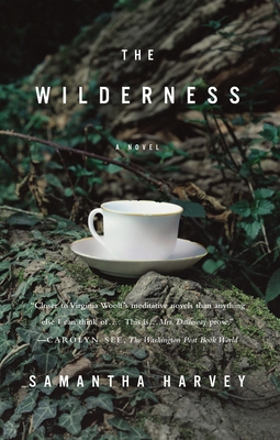 The Wilderness 0307454770 Book Cover