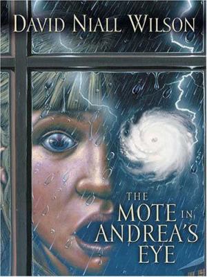 The Mote in Andrea's Eye 1594144532 Book Cover