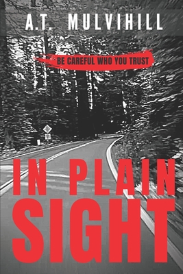 In Plain Sight B084DGDW68 Book Cover