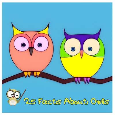 25 Facts About Owls: Discover the Secrets of th... B0CFZ5DYZ9 Book Cover
