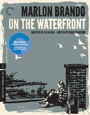 On the Waterfront            Book Cover