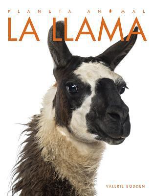 La Llama [Spanish] 1640260994 Book Cover