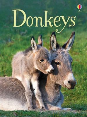 Donkeys (Beginners) (Beginners Series) 1474921817 Book Cover