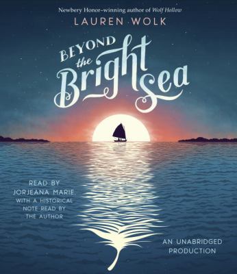 Beyond the Bright Sea 1524775029 Book Cover