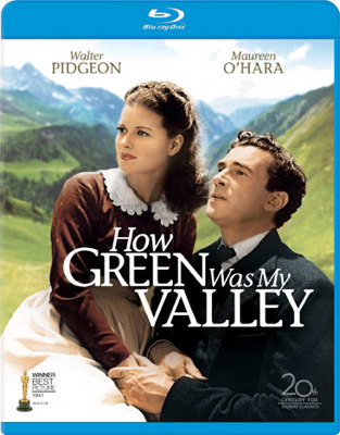 How Green Was My Valley            Book Cover