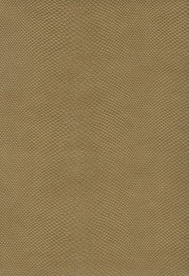 Thompson Answer Bible-NIV: Treasures of Truth 193611917X Book Cover