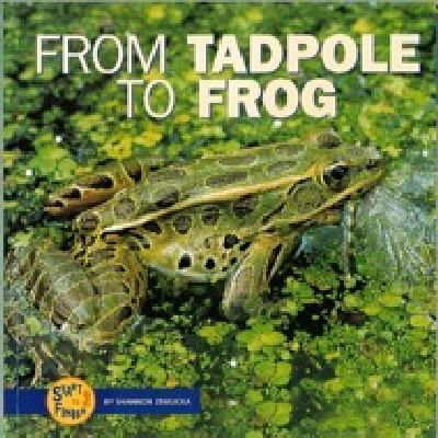 From Tadpole to Frog 0822506718 Book Cover