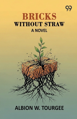 Bricks Without Straw 9376391098 Book Cover