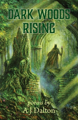Dark Woods Rising B0DP5R9Z6M Book Cover