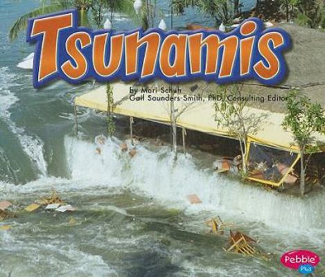 Library Book: Tsunamis (Rise and Shine) 1429634383 Book Cover