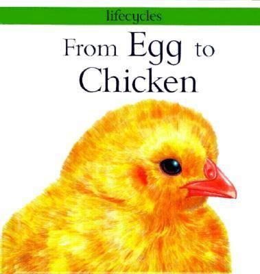 From Egg to Chicken 0531144909 Book Cover