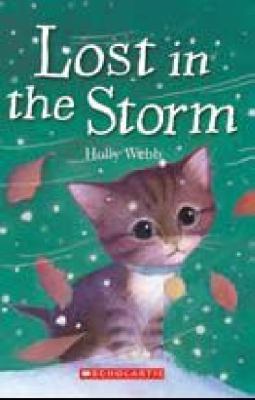 Lost in the Storm 1741692024 Book Cover