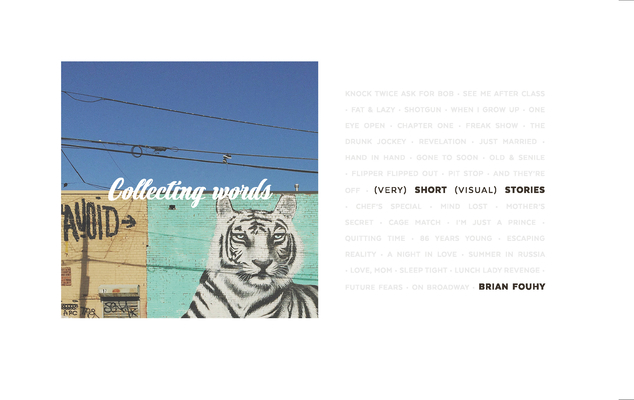 Collecting Words: Short Visual Stories 9187815907 Book Cover