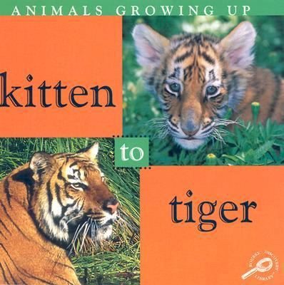 Kitten to Tiger 1589526953 Book Cover