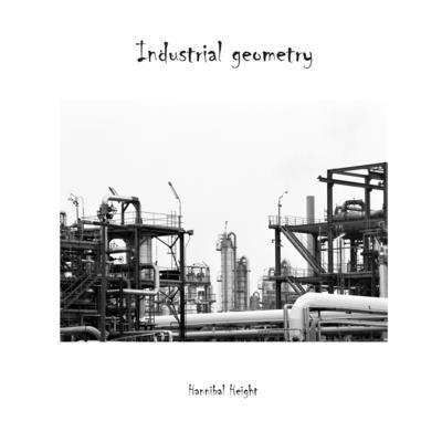 Industrial geometry 1471046117 Book Cover