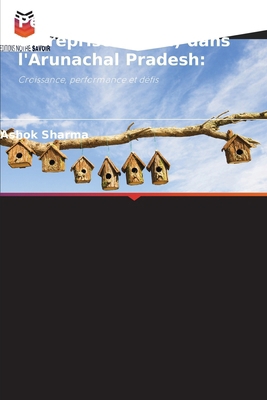 Petites et moyennes entreprises (PME) dans l'Ar... [French] 6200723710 Book Cover