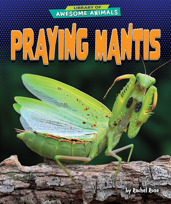 Praying Mantis B0CVJ2M73W Book Cover