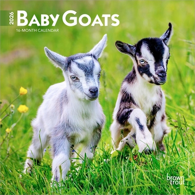 Baby Goats 2026 7 X 14 Inch (Hanging) Monthly M... B0DYKWDGB3 Book Cover