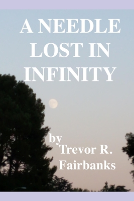 A Needle Lost in Infinity 1696743087 Book Cover
