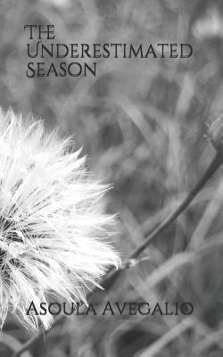 The Underestimated Season: Singleness 1092994033 Book Cover