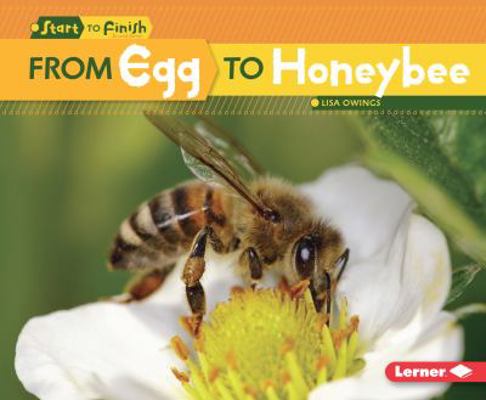 From Egg to Honeybee 1512409081 Book Cover