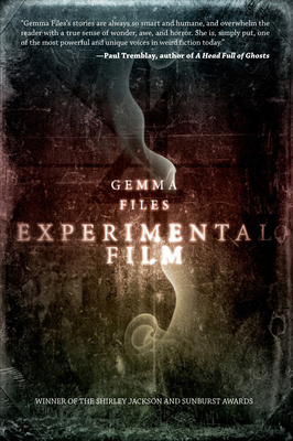 Experimental Film 1771483490 Book Cover