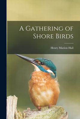 A Gathering of Shore Birds 1014593840 Book Cover