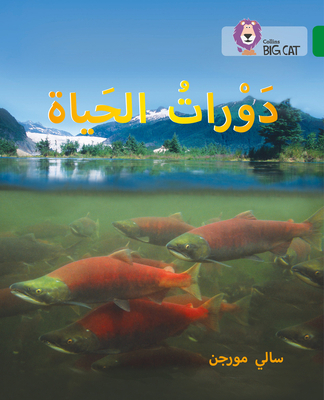 Life Cycles: Level 15 [Arabic] 0008131546 Book Cover