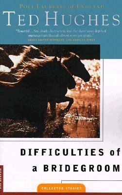 Difficulties of a Bridegroom: Stories 0312168179 Book Cover