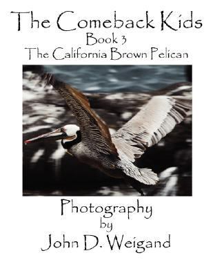 The Comeback Kids, Book 3, the California Brown... 0979481562 Book Cover