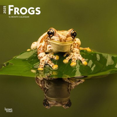 Frogs 2025 12 X 24 Inch Monthly Square Wall Cal... 1975476999 Book Cover