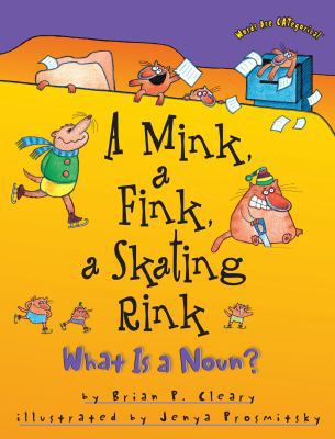 A Mink, a Fink, a Skating Rink: What Is a Noun? 1575054175 Book Cover