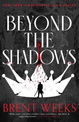 Beyond the Shadows 0316528366 Book Cover