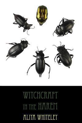 Witchcraft in the Harem 1907133402 Book Cover