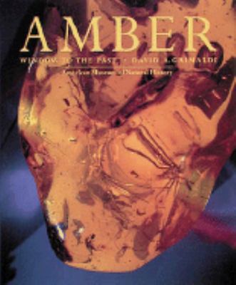 Amber: Window to the Past [French] 0810919664 Book Cover