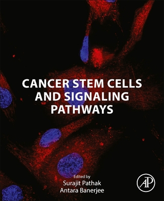 Cancer Stem Cells and Signaling Pathways 0443132127 Book Cover