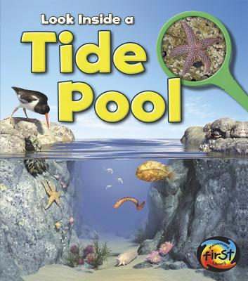 Tide Pool: Look Inside 1432972049 Book Cover